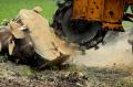 Stump grinding & removal