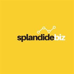 splandidebiz.com