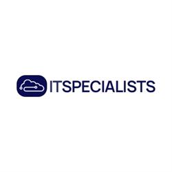IT Specialists