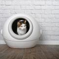 Self cleaning cat litter box