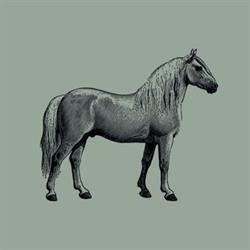Boutique Equestre Grand Galop