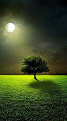 Gentle Moon