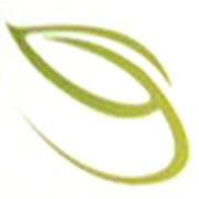 Johanne Sabourin Physical Therapist Corporation