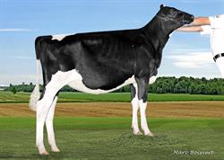 Ferme Pignons Bleus