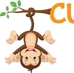 Curios Kids Children's Centre
