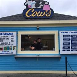 Cows Inc