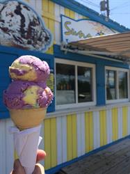 Sunny Days Ice Cream Shop