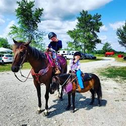 Foxtrot Stables
