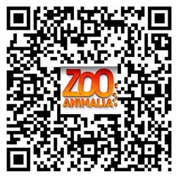 Zoo Animalia - Refuge pour animaux