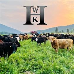 Waikikahei Ranch Ltd