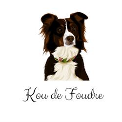 Kou de Foudre