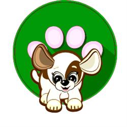 HUB PUPPY