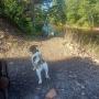 Pet-friendly campsite Nova Scotia Pet-friendly campsite Nova Scotia
