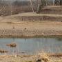 Campground with Wildlife Viewing Opportunities Eastville Campground with Wildlife Viewing Opportunities Eastville
