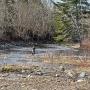 River fishing campsite in Eastville NS River fishing campsite in Eastville NS