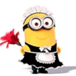 Aniko Cleaning Service