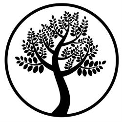 Rideau Physiotherapy