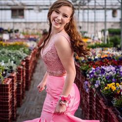 Forster's Greenhouses