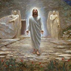 Shekinah Glory Fellowship