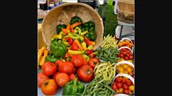 Bowden Farmers Market