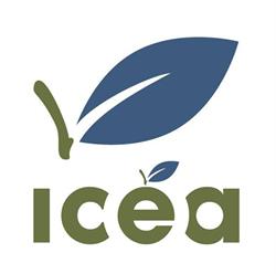 Institut de coopération pour l'éducation des adultes