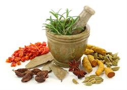 Winnipeg Ayurvedic Centre Inc.