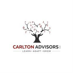 Carlton Advisors Inc.