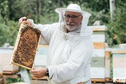 Whispering Pines Honey