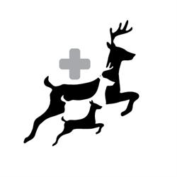 Highlands North Physio