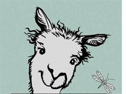 Little Foot Alpacas