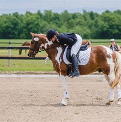 Clear Cadence Dressage