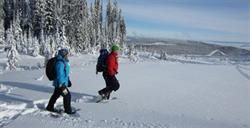 Snowshoe Sun Peaks