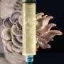 Cultures Liquide de Mycelium pour Production de Champignons Gourmet Cultures Liquide de Mycelium pour Production de Champignons Gourmet