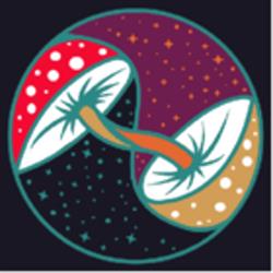 Fusion Mycelium