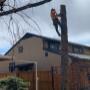 Looking for a Certified Arborist in Calgary to take care of your tree needs? Look no further! Our team of experienced and knowledgeable arborists is here to provide top-notch tree care services tailored to your specific requirements.. Call MSJD Today Looking for a Certified Arborist in Calgary to take care of your tree needs? Look no further! Our team of experienced and knowledgeable arborists is here to provide top-notch tree care services tailored to your specific requirements.. Call MSJD Today