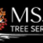MSJD Tree Services does it all from tree trimming, canopy management, limb trimming to stump removal. Call our team of experts for your tree service needs. MSJD Tree Services does it all from tree trimming, canopy management, limb trimming to stump removal. Call our team of experts for your tree service needs.