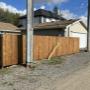 Wood fencing back Wood fencing back