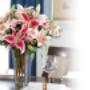 Choose from our thoughtful Sympathy and funeral flower arrangements and show how much you care. Choose from our thoughtful Sympathy and funeral flower arrangements and show how much you care.
