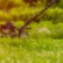 Êtes-vous prêt à transformer votre jardin en un véritable paradis naturel ? Laissez-nous vous présenter Hém, vos experts en aménagement paysager !
À Hém, nous croyons que chaque espace extérieur a le potentiel de devenir une œuvre d'art vivante. Que Êtes-vous prêt à transformer votre jardin en un véritable paradis naturel ? Laissez-nous vous présenter Hém, vos experts en aménagement paysager !
À Hém, nous croyons que chaque espace extérieur a le potentiel de devenir une œuvre d'art vivante. Que