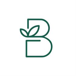 The Bloom Coffee