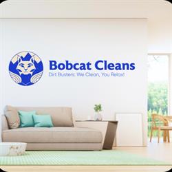 Bobcat Cleans Service