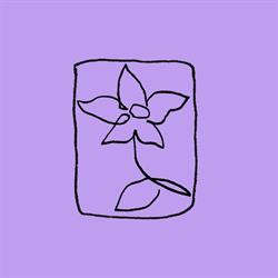 Anemone