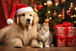 Paw'n Pet Food