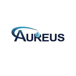 Aureus Energy Services Inc