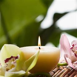 Imagine Wellness Massage Therapy. Dallas Smith RMT