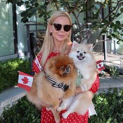 Lapa Dog Grooming