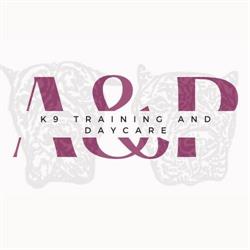 A&P K9 Training and Daycare