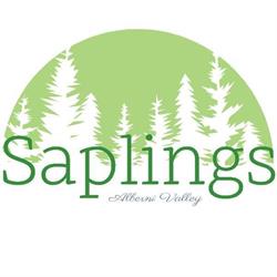 AV Saplings Child Care Ltd