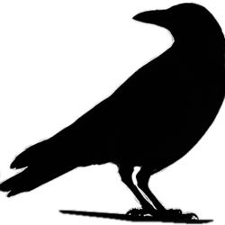 Ravens Court