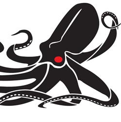 Kraken Robotic Systems